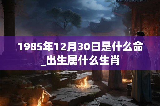 1985年12月30日是什么命_出生属什么生肖