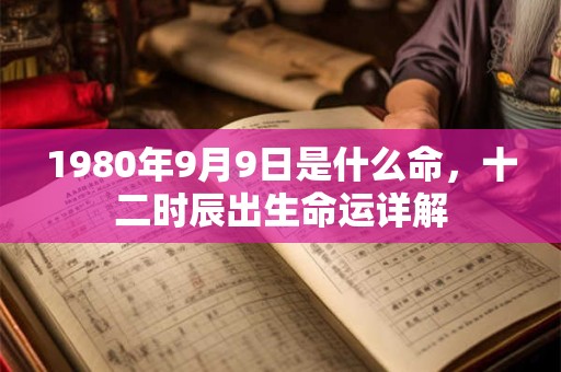 1980年9月9日是什么命，十二时辰出生命运详解