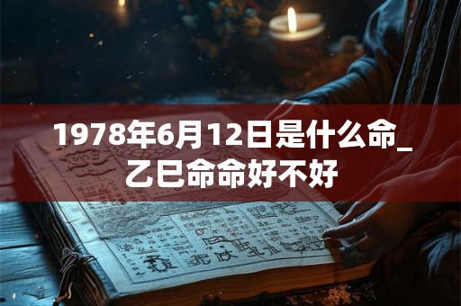 1978年6月12日是什么命_乙巳命命好不好