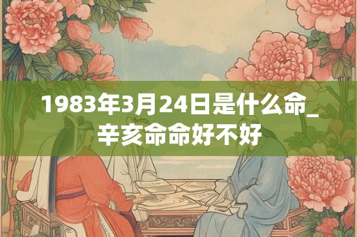 1983年3月24日是什么命_辛亥命命好不好