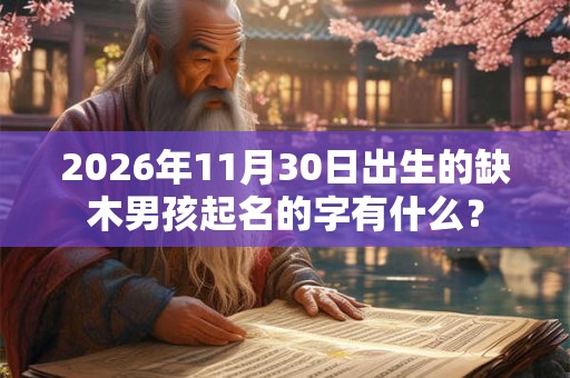2026年11月30日出生的缺木男孩起名的字有什么？