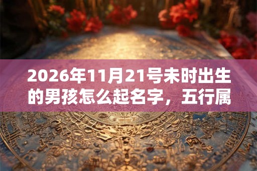 2026年11月21号未时出生的男孩怎么起名字,五行属什么 2026年11月21号未时出生的男孩怎么起名字,五行属什么