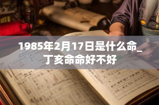 1985年2月17日是什么命_丁亥命命好不好