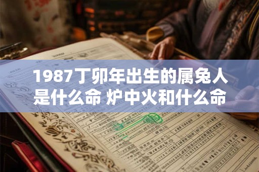 1987丁卯年出生的属兔人是什么命 炉中火和什么命最配 1987丁卯年出生的属兔人是什么命 炉中火和什么命最配