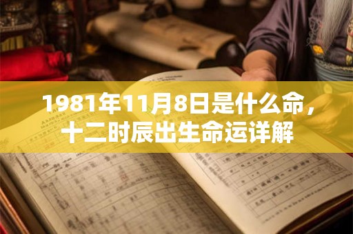 1981年11月8日是什么命，十二时辰出生命运详解