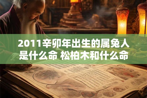 2011辛卯年出生的属兔人是什么命 松柏木和什么命最配