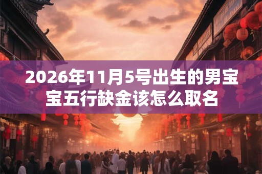 2026年11月5号出生的男宝宝五行缺金该怎么取名