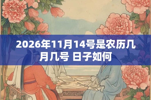 2026年11月14号是农历几月几号 日子如何