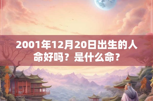 2001年12月20日出生的人命好吗?是什么命? 2001年12月20日出生的人命好吗?是什么命?