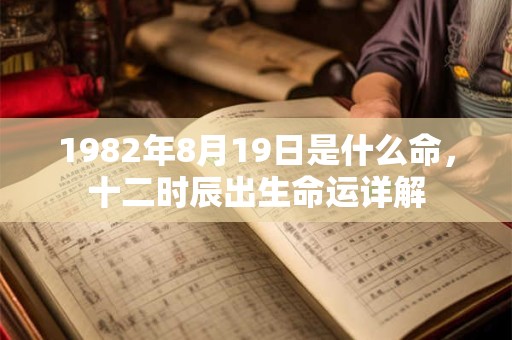1982年8月19日是什么命，十二时辰出生命运详解