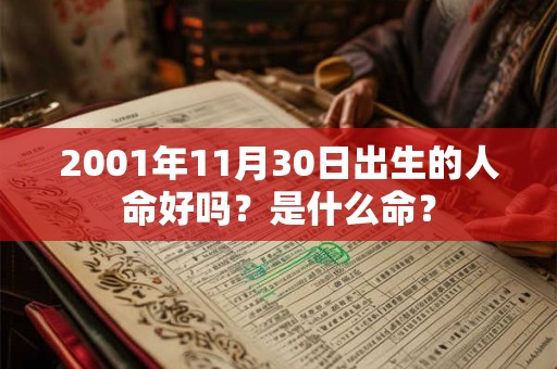 2001年11月30日出生的人命好吗？是什么命？