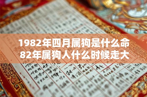 1982年四月属狗是什么命 82年属狗人什么时候走大运