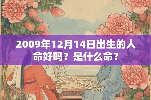 2009年12月14日出生的人命好吗？是什么命？