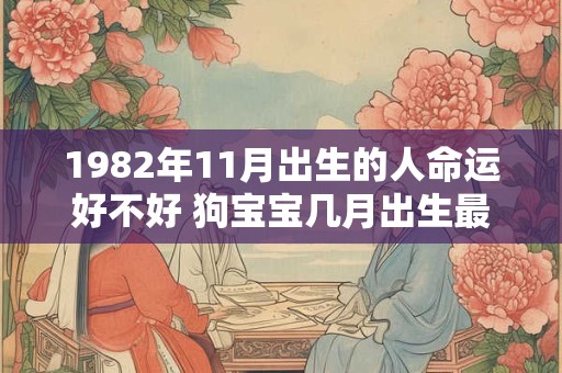 1982年11月出生的人命运好不好 狗宝宝几月出生最好