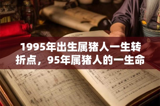 1995年出生属猪人一生转折点,95年属猪人的一生命运 1995年出生属猪人一生转折点,95年属猪人的一生命运