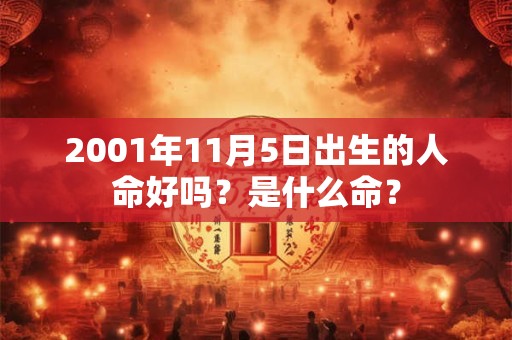 2001年11月5日出生的人命好吗？是什么命？