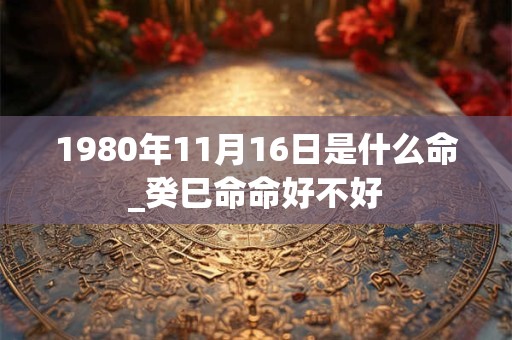 1980年11月16日是什么命_癸巳命命好不好