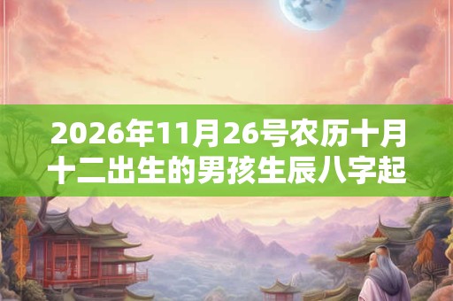 2026年11月26号农历十月十二出生的男孩生辰八字起名