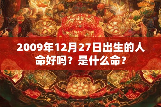 2009年12月27日出生的人命好吗？是什么命？