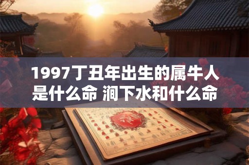 1997丁丑年出生的属牛人是什么命 涧下水和什么命最配