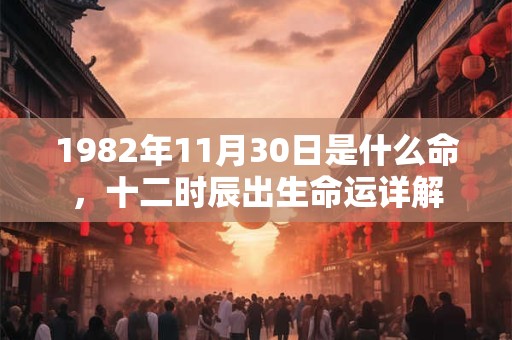 1982年11月30日是什么命，十二时辰出生命运详解