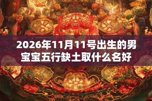 2026年11月11号出生的男宝宝五行缺土取什么名好
