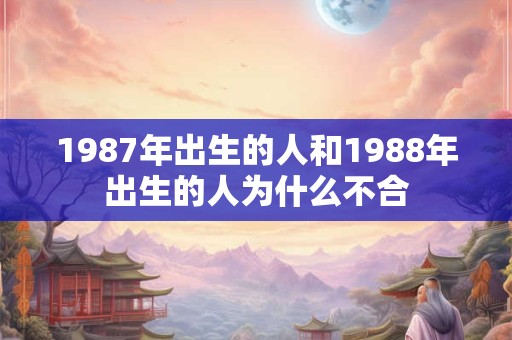 1987年出生的人和1988年出生的人为什么不合