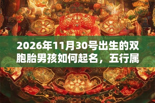 2026年11月30号出生的双胞胎男孩如何起名，五行属什么