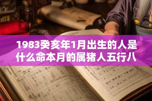 1983癸亥年1月出生的人是什么命本月的属猪人五行八字查询