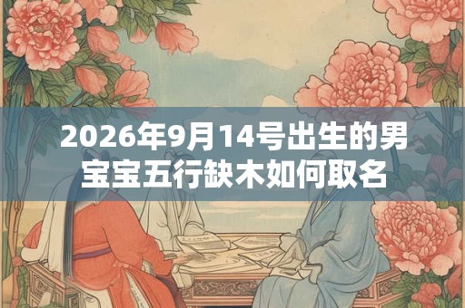 2026年9月14号出生的男宝宝五行缺木如何取名