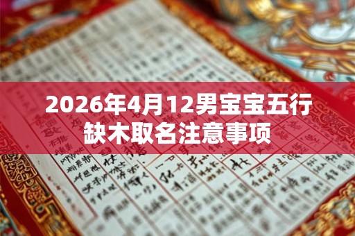 2026年4月12男宝宝五行缺木取名注意事项