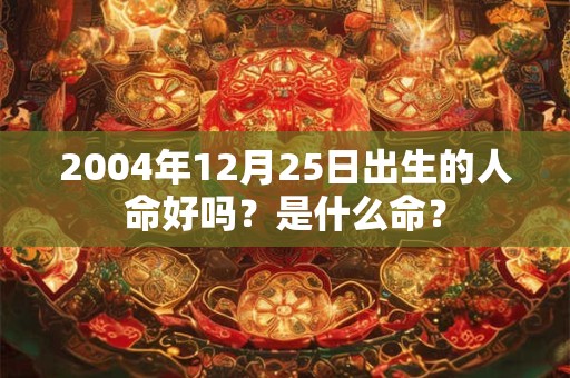 2004年12月25日出生的人命好吗?是什么命? 2004年12月25日出生的人命好吗?是什么命?