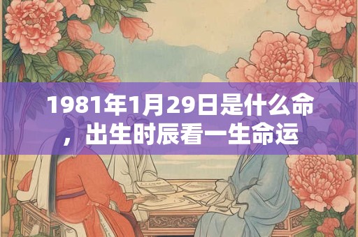 1981年1月29日是什么命，出生时辰看一生命运