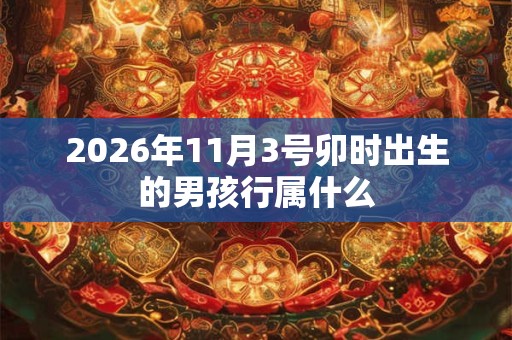 2026年11月3号卯时出生的男孩行属什么