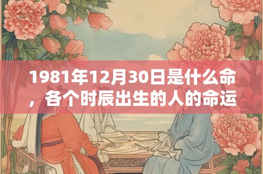 1981年12月30日是什么命,各个时辰出生的人的命运 1981年12月30日是什么命,各个时辰出生的人的命运