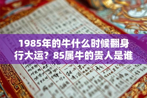 1985年的牛什么时候翻身行大运?85属牛的贵人是谁? 1985年的牛什么时候翻身行大运?85属牛的贵人是谁?