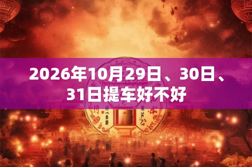 2026年10月29日、30日、31日提车好不好