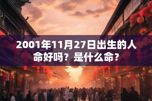 2001年11月27日出生的人命好吗？是什么命？