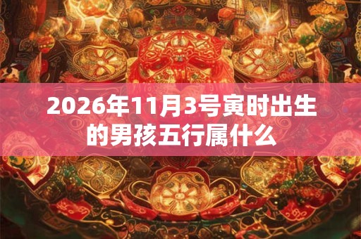2026年11月3号寅时出生的男孩五行属什么