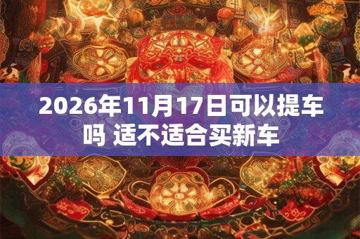 2026年11月17日可以提车吗 适不适合买新车