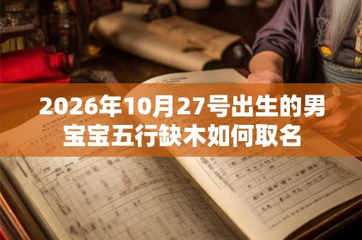 2026年10月27号出生的男宝宝五行缺木如何取名