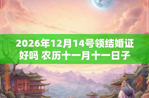 2026年12月14号领结婚证好吗 农历十一月十一日子好吗