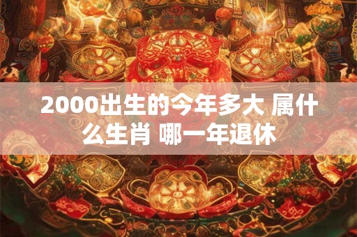 2000出生的今年多大 属什么生肖 哪一年退休