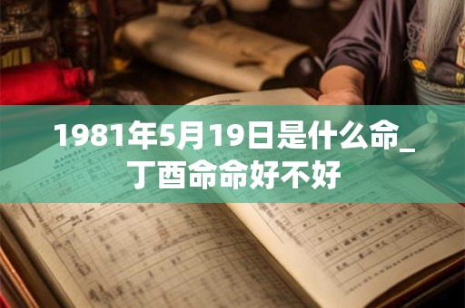 1981年5月19日是什么命_丁酉命命好不好