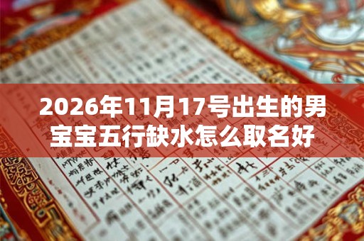 2026年11月17号出生的男宝宝五行缺水怎么取名好