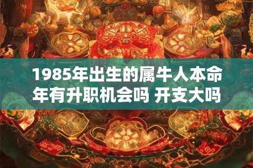 1985年出生的属牛人本命年有升职机会吗 开支大吗
