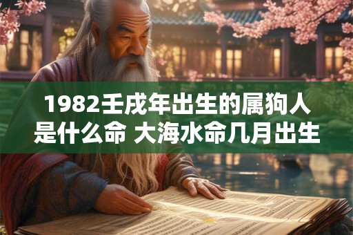 1982壬戌年出生的属狗人是什么命 大海水命几月出生最好