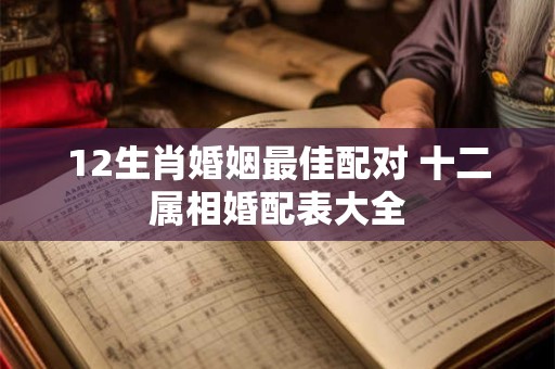 12生肖婚姻最佳配对 十二属相婚配表大全 12生肖婚姻最佳配对 十二属相婚配表大全