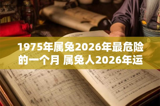 1975年属兔2026年最危险的一个月 属兔人2026年运势如何 1975年属兔2026年最危险的一个月 属兔人2026年运势如何