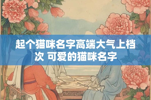 起个猫咪名字高端大气上档次 可爱的猫咪名字 起个猫咪名字高端大气上档次 可爱的猫咪名字